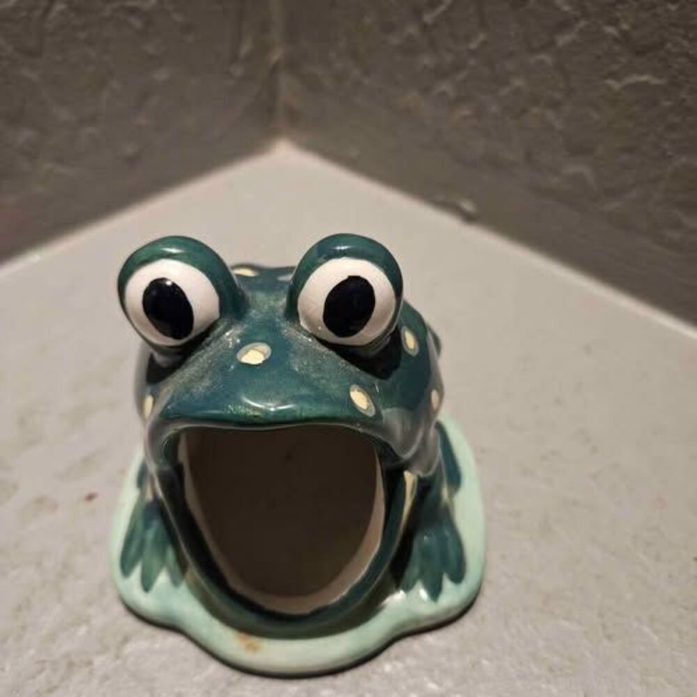 Ceramic Frog Sponge Holder